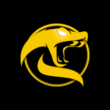 viper-flexlabs